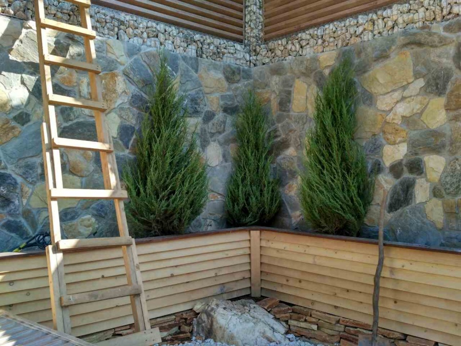 Фото посадки