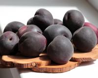 Абрикос "Черный принц"