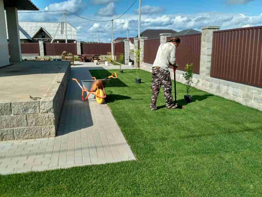 Фото посадки