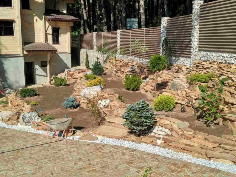 Фото посадки