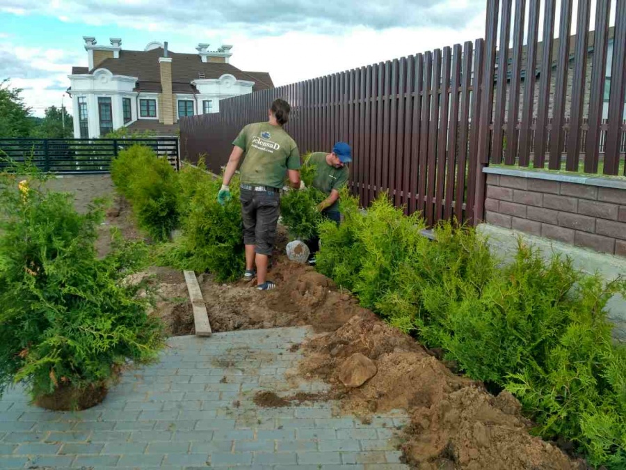 Фото посадки