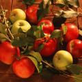 Осенние сорта яблони