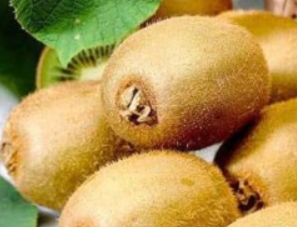 Киви "Монти"