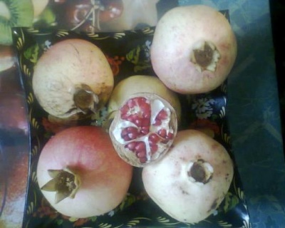 Гранат «Ак Дона»