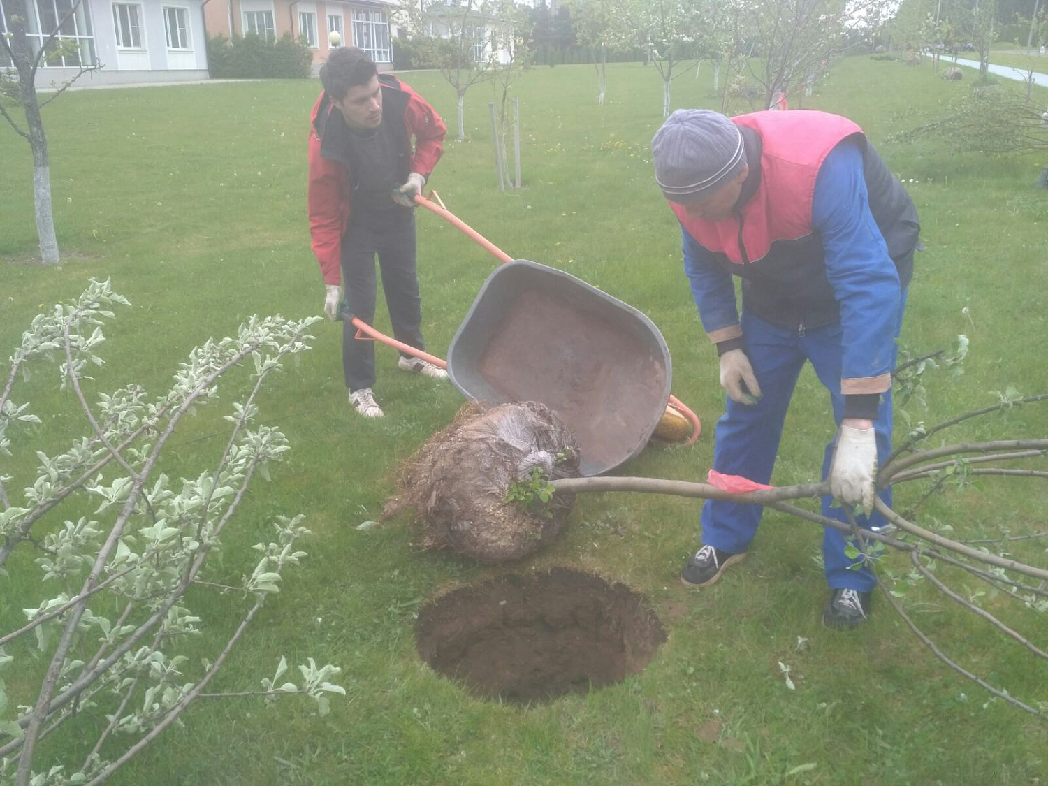 Фото посадки