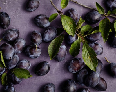 Слива "Стенли (Стенлей)"