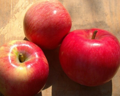 Яблоня "Малиновка"