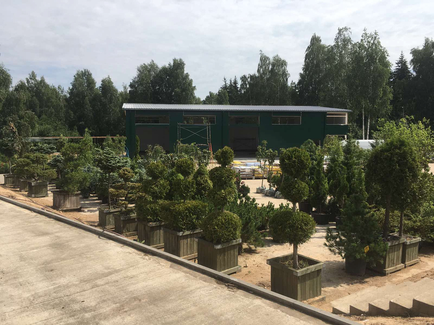 Питомник "ZelenSad"