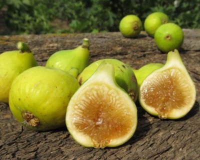 Инжир "Кадота"