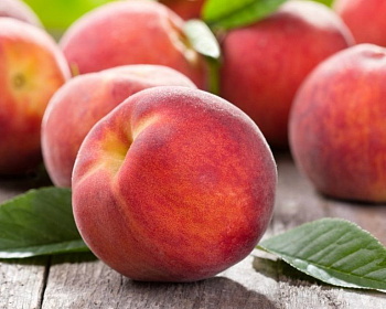Персик "Майский цветок"