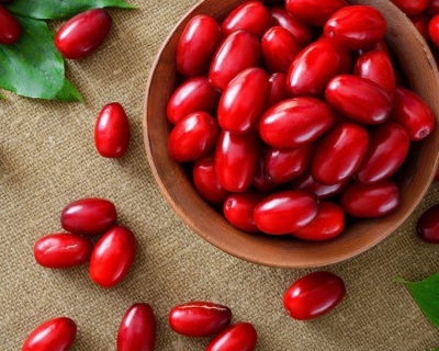 Кизил "Евгения"