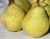 Груша "Гера"