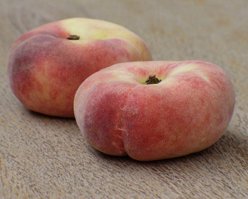 Персик инжирный "Сатурн"