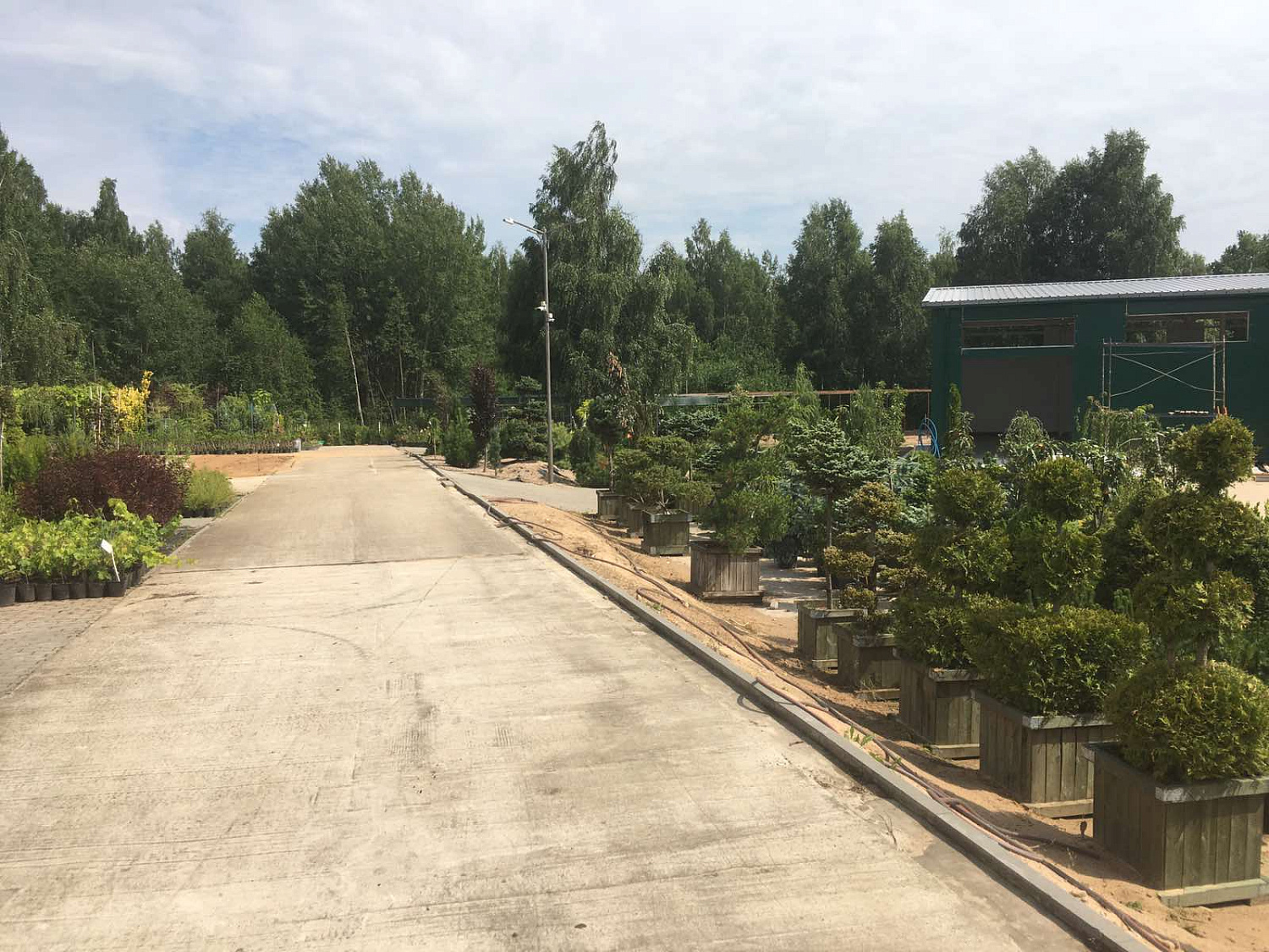 Питомник "ZelenSad"