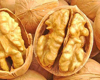 Грецкий орех "Память Минова"