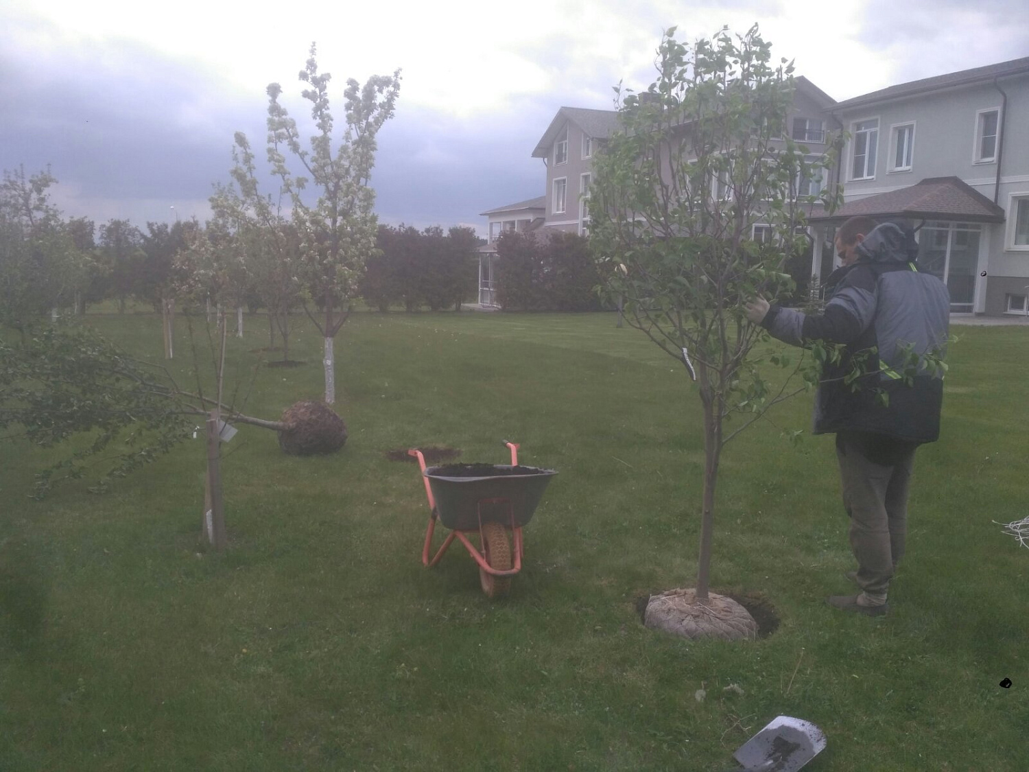 Фото посадки