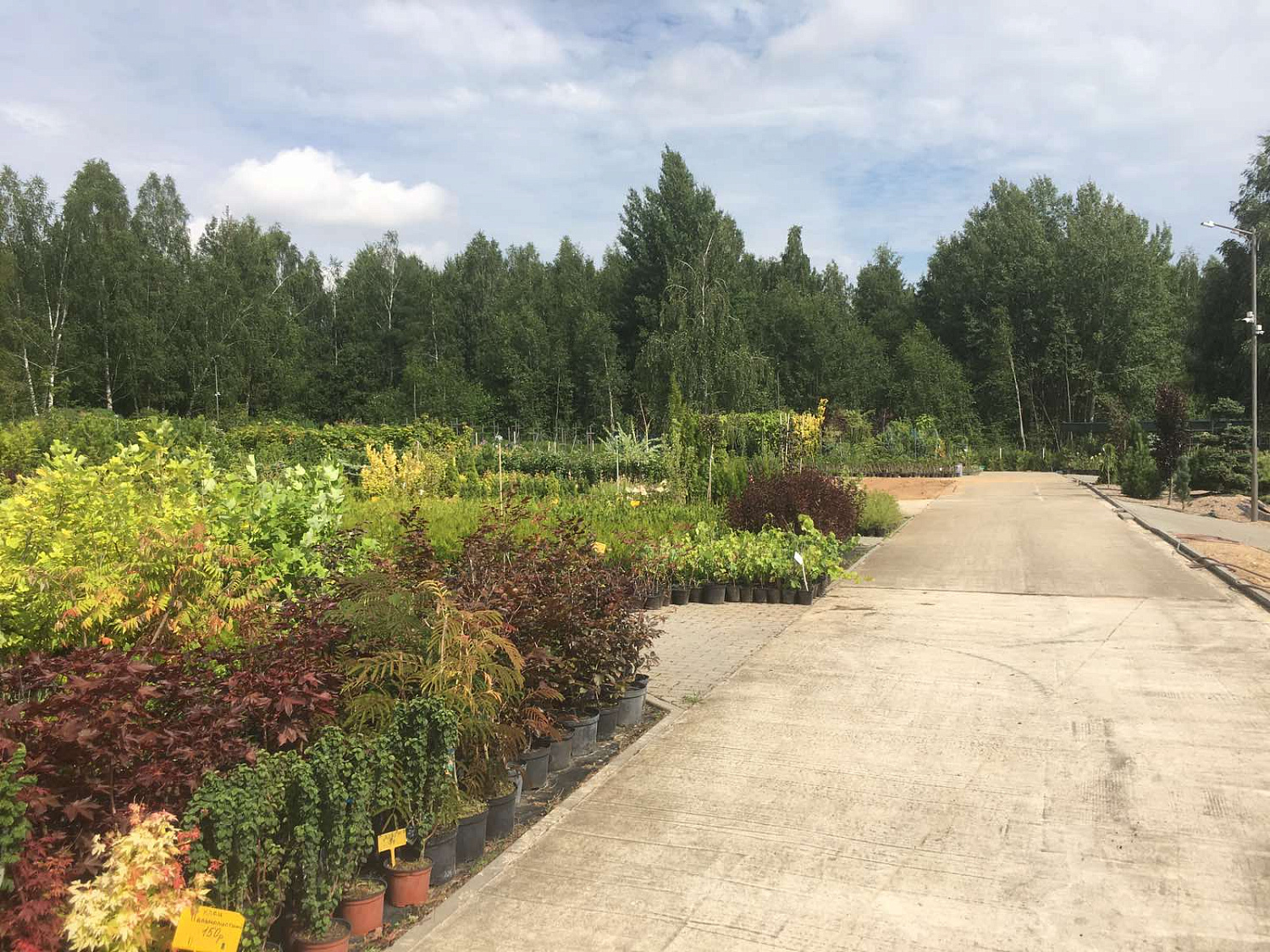 Питомник "ZelenSad"