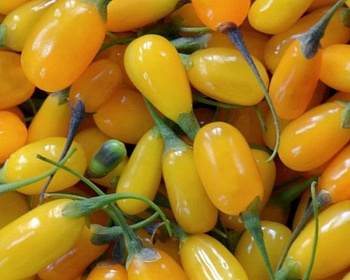 Ягода Годжи "Свит Амбер"