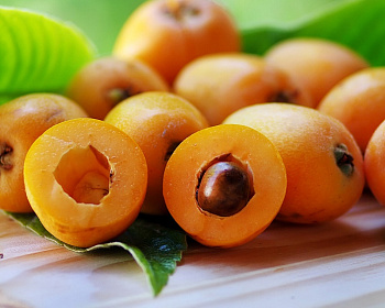 Мушмула "Морозко"