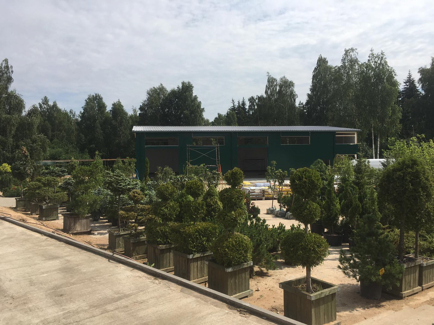 Питомник "ZelenSad"