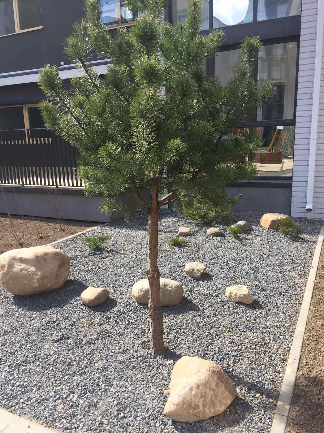 Фото посадки