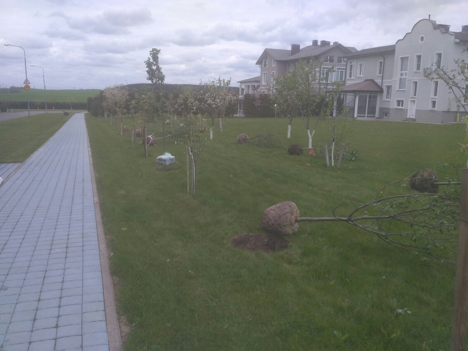 Фото посадки