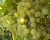 Виноград "Краса Севера (Ольга)"