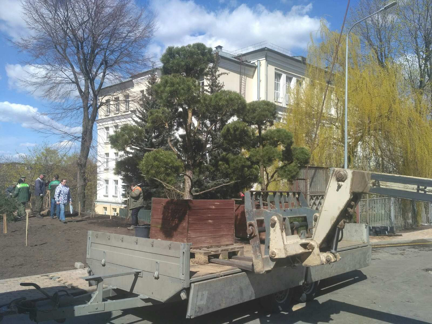 Фото посадки