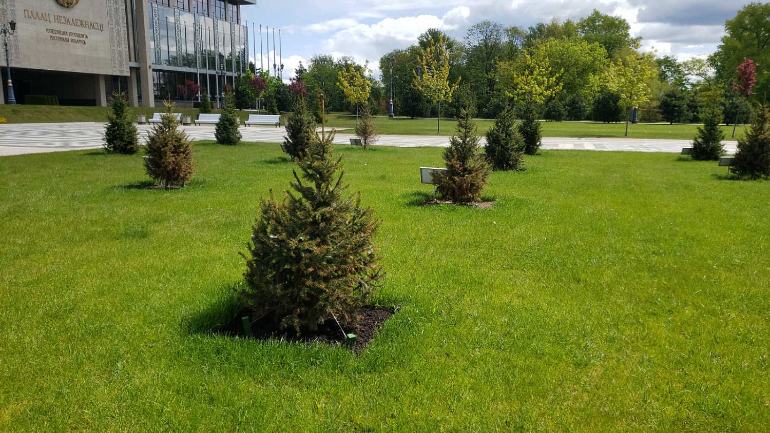 Фото посадки