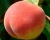 Персик "Елгавский"